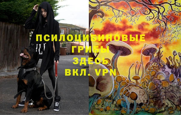 ALPHA-PVP Арсеньев