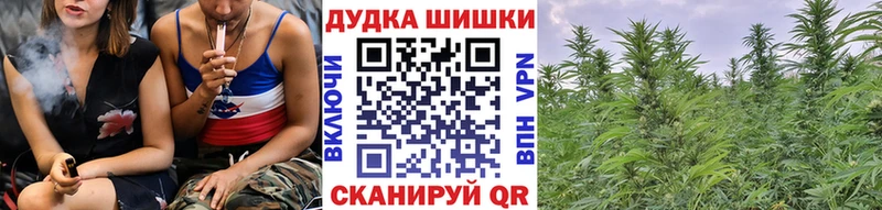 Купить  Снежногорск  Канабис индика 